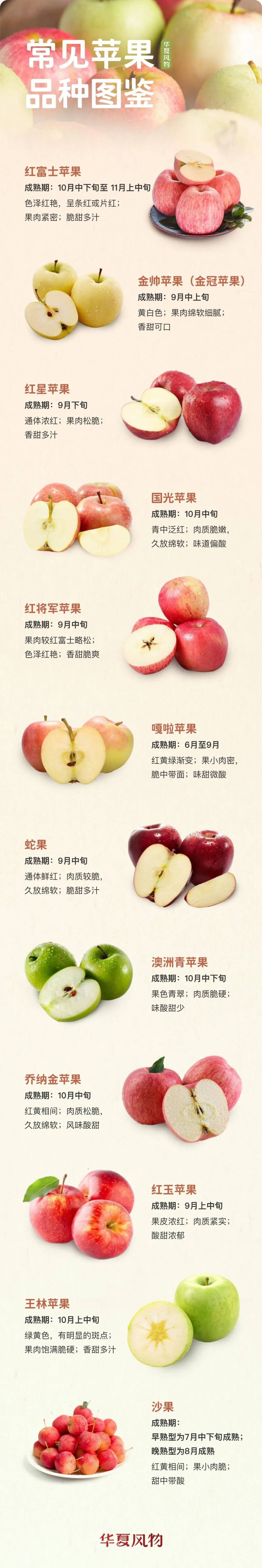 常见苹果品种图鉴 ©️华夏风物