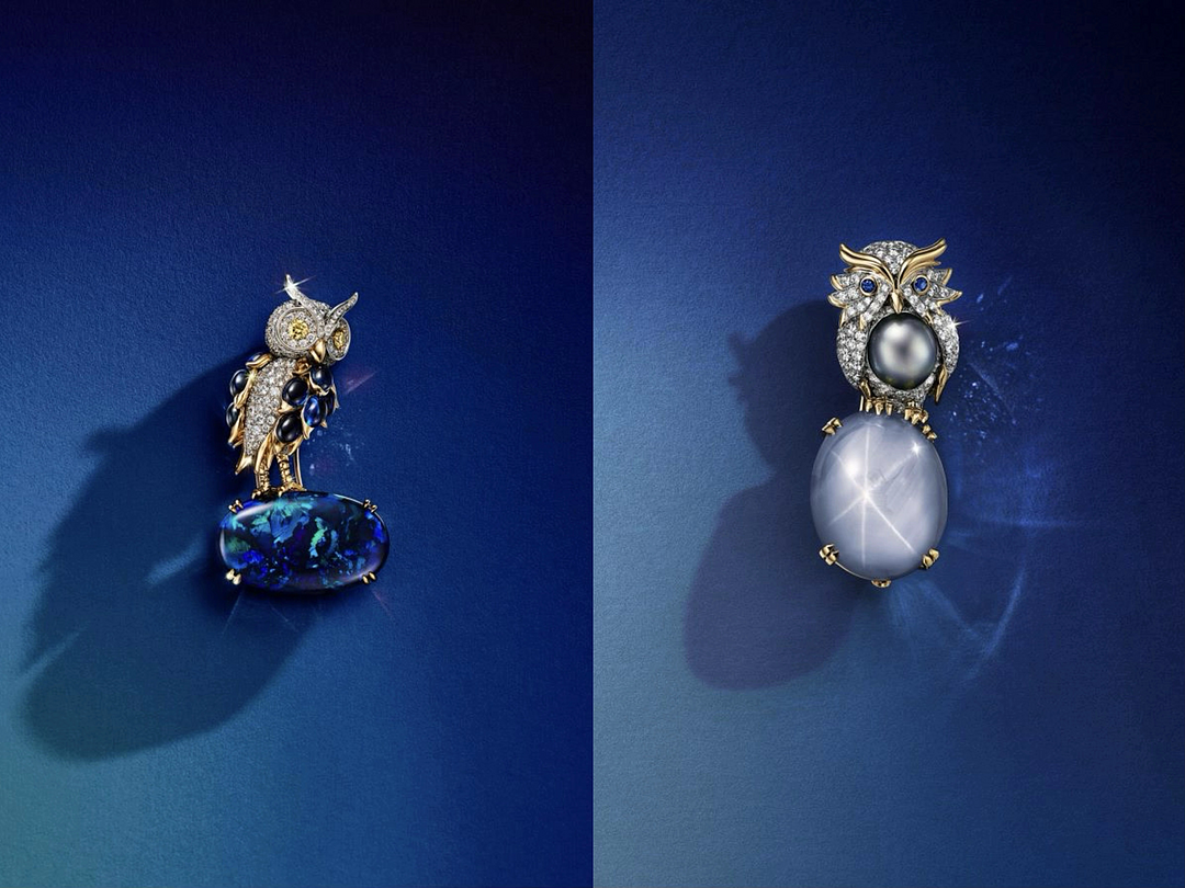 Tiffany & Co. 蒂芙尼2024 Blue Book高级珠宝系列Tiffany Céleste 苍穹万象 岩栖灵鸮(Owl on a Rock)主题胸针