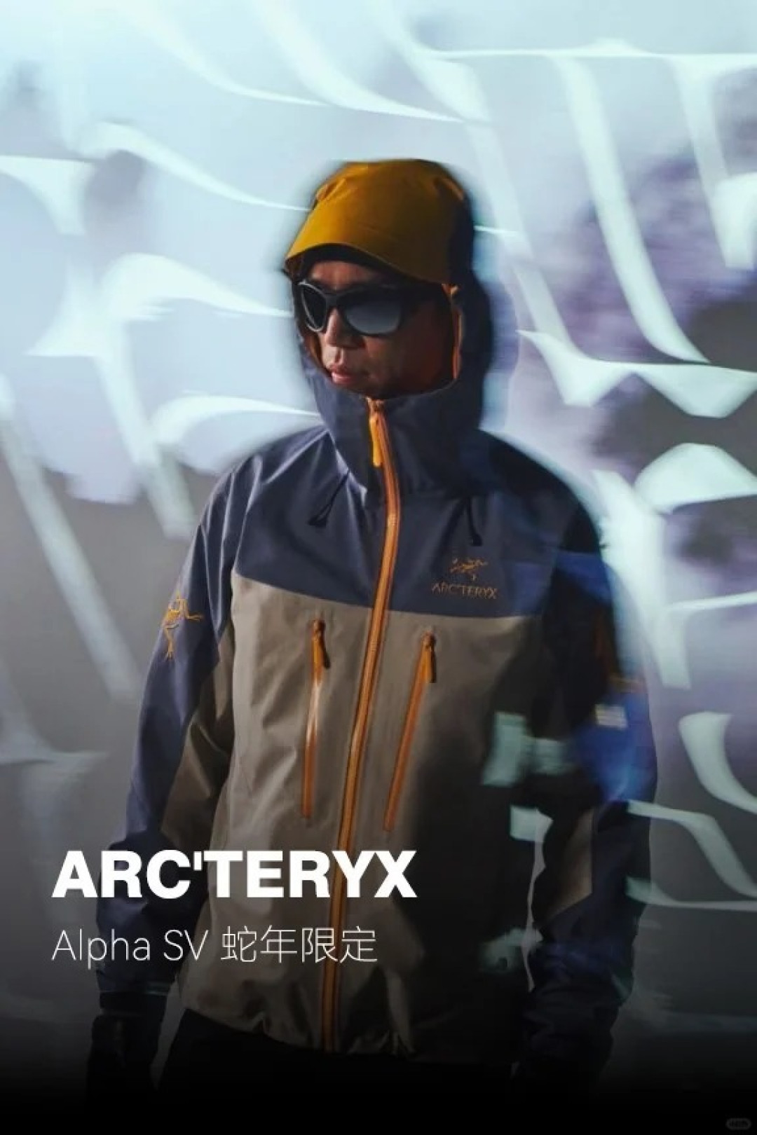 始祖鸟旗舰店- 京东 当時物 日本限定 arcteryx 漢字 大入 始祖鳥 T