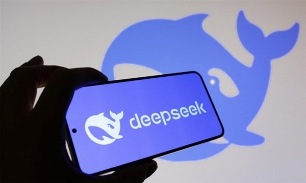 De开云APP下载epSeek老板访谈